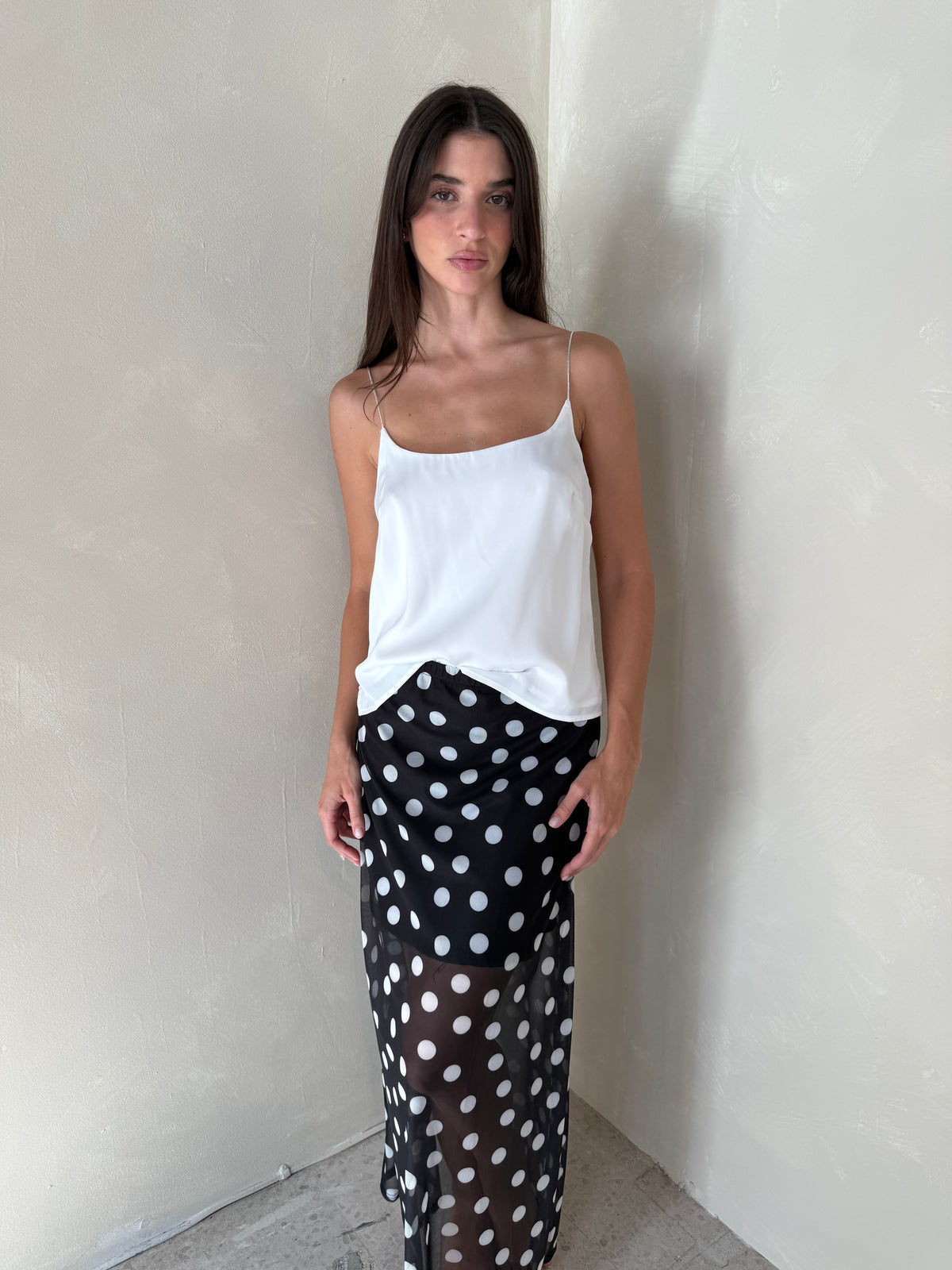 Polka Sheer Mesh Skirt