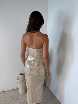 Sequins Tube Midi Dress