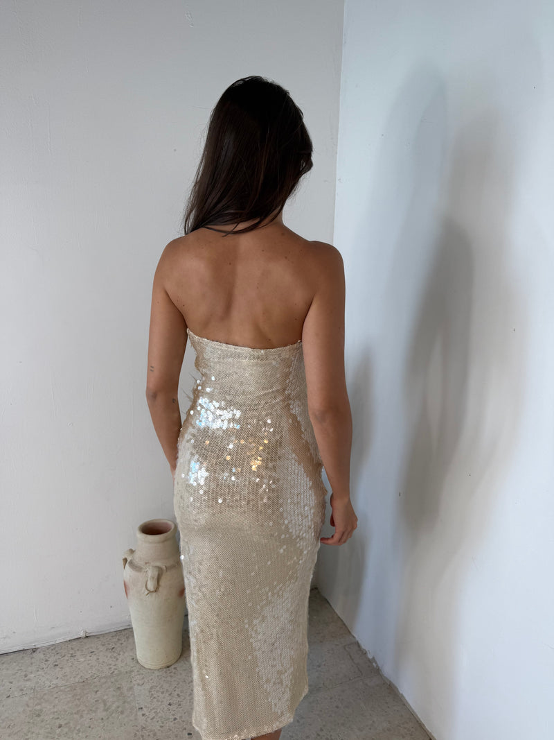 Sequins Tube Midi Dress