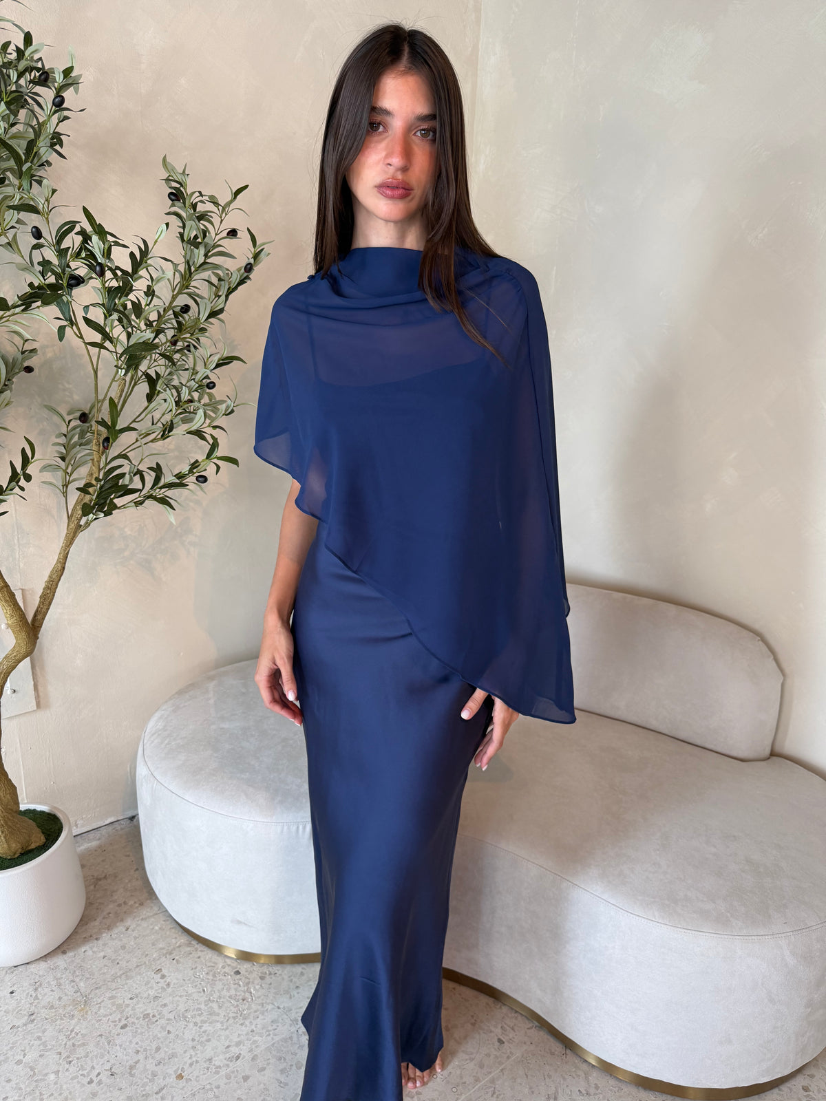 Sheer Cape Dress