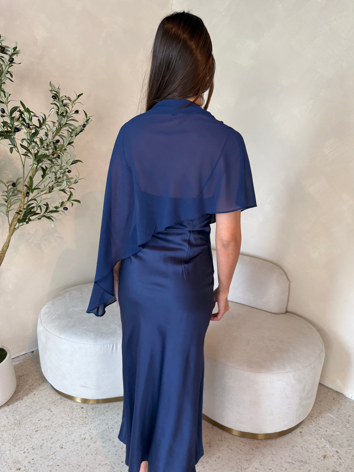 Sheer Cape Dress