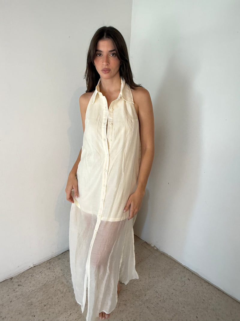 Oat Sheer Collar Dress