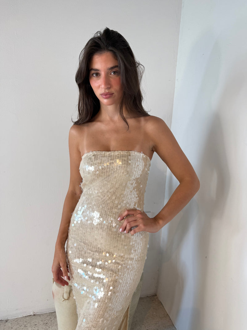Sequins Tube Midi Dress