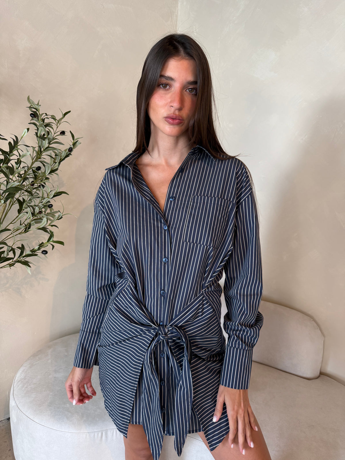 Pin Stripe LS Dress