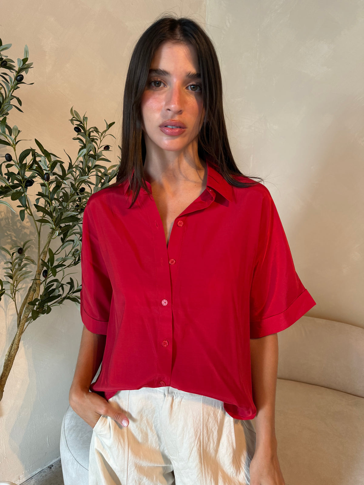Collar SS Button Down