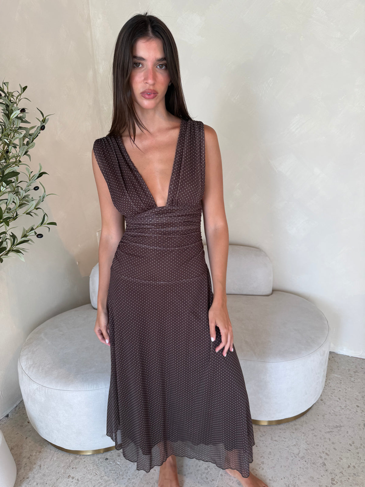 Mesh Brown Polka Midi Dress