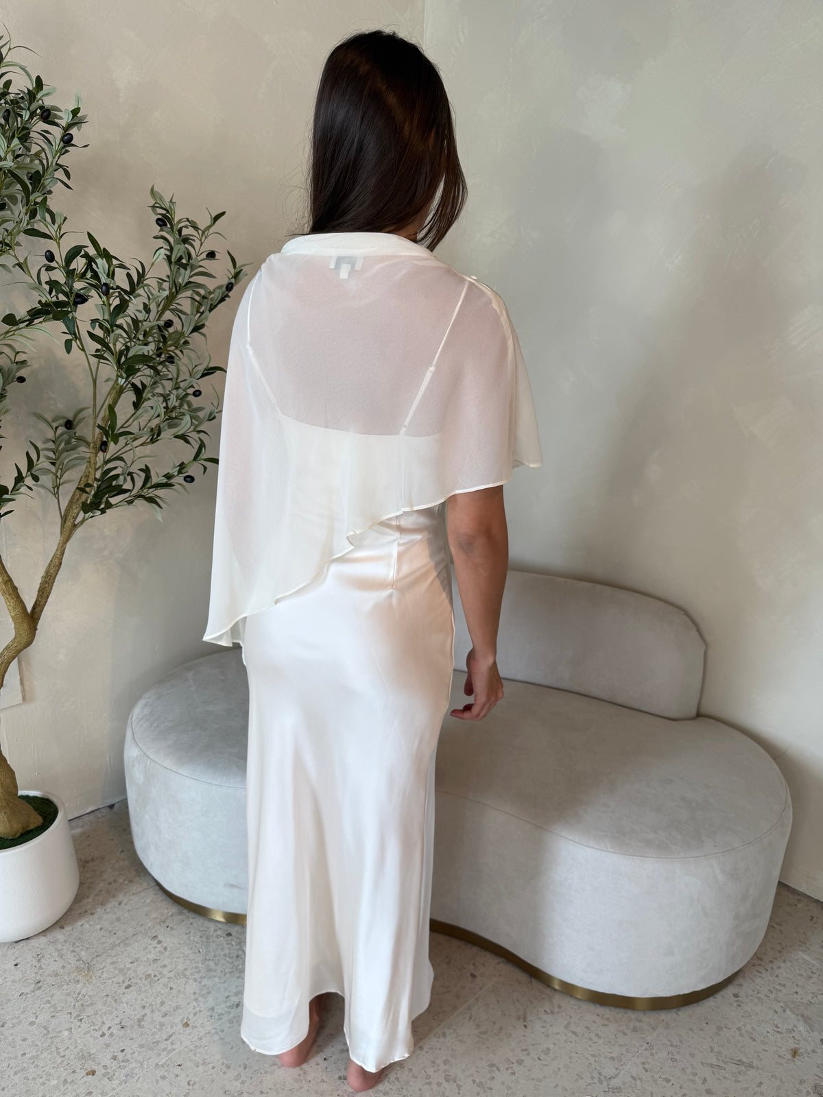 Sheer Cape Dress