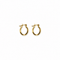 Mini Gold Hoop Earrings