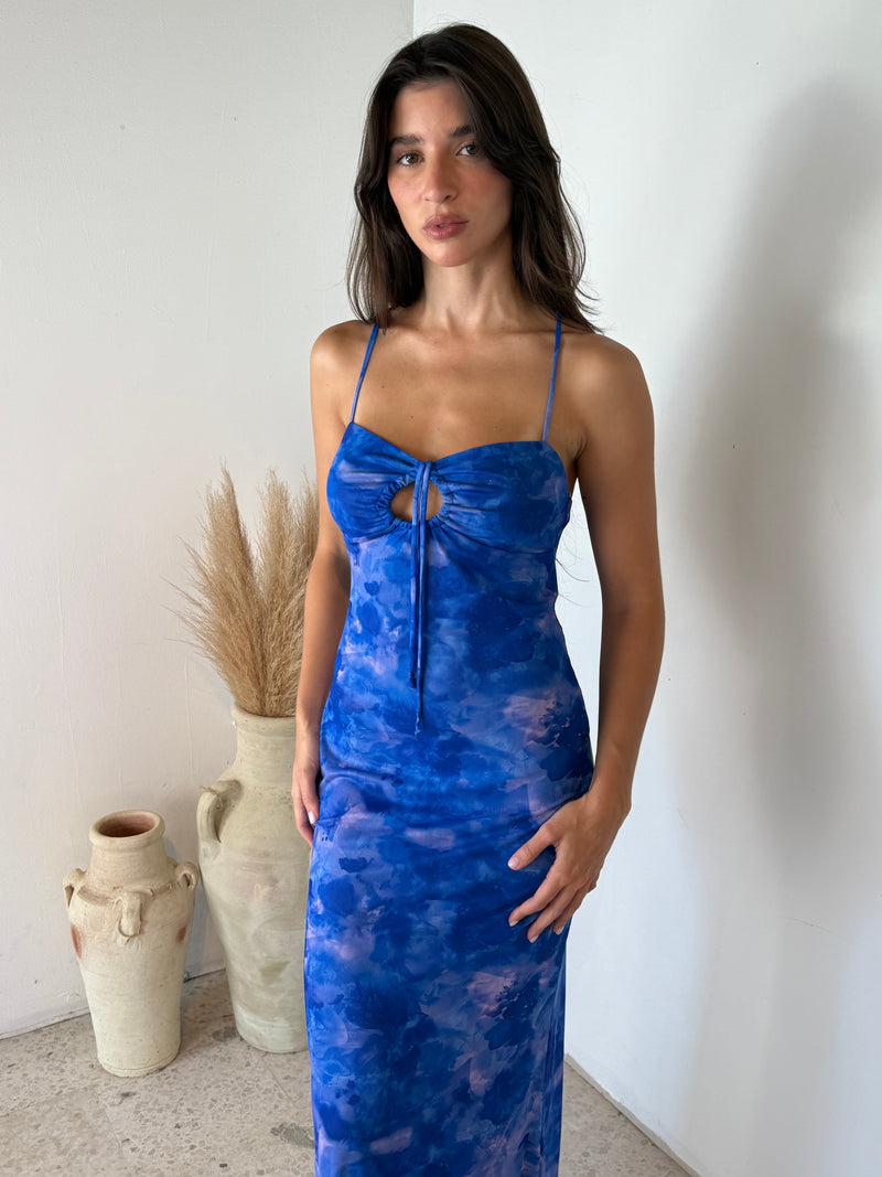 Blue Floral Mesh Maxi Dress