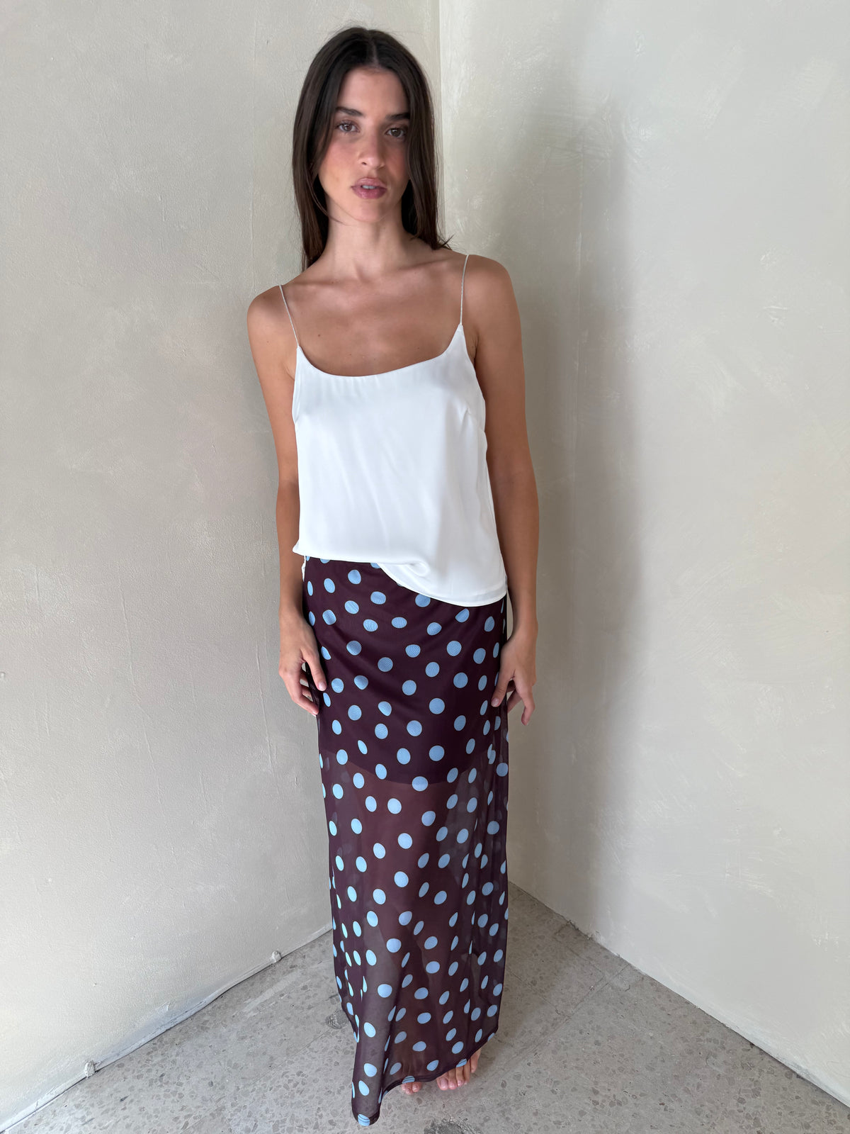 Polka Sheer Mesh Skirt