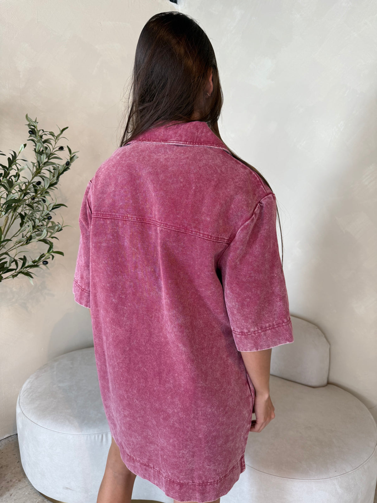 SS Collar Dress