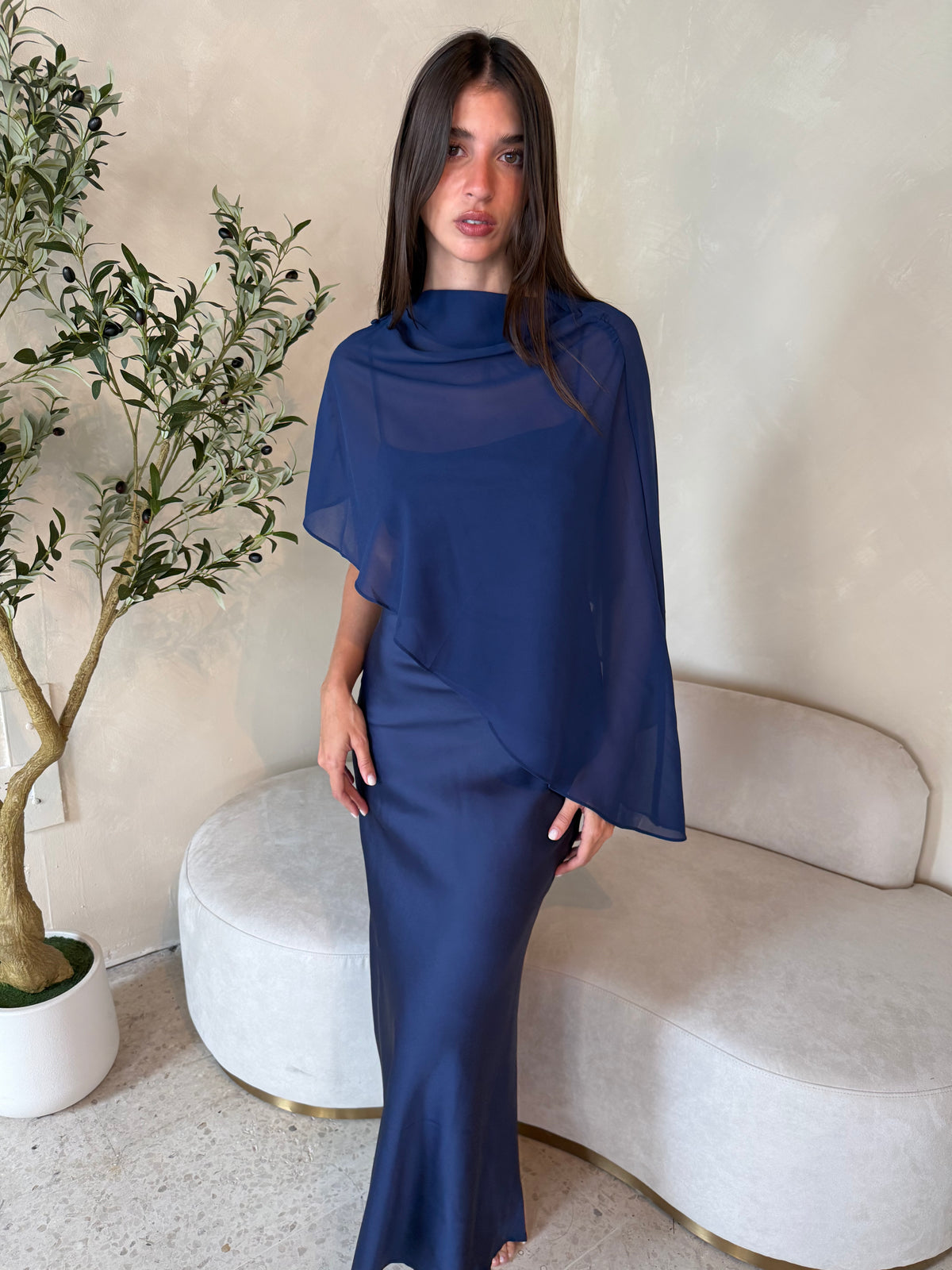 Sheer Cape Dress
