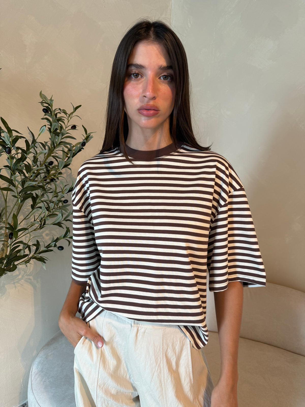 SS Brown Stripe Tee