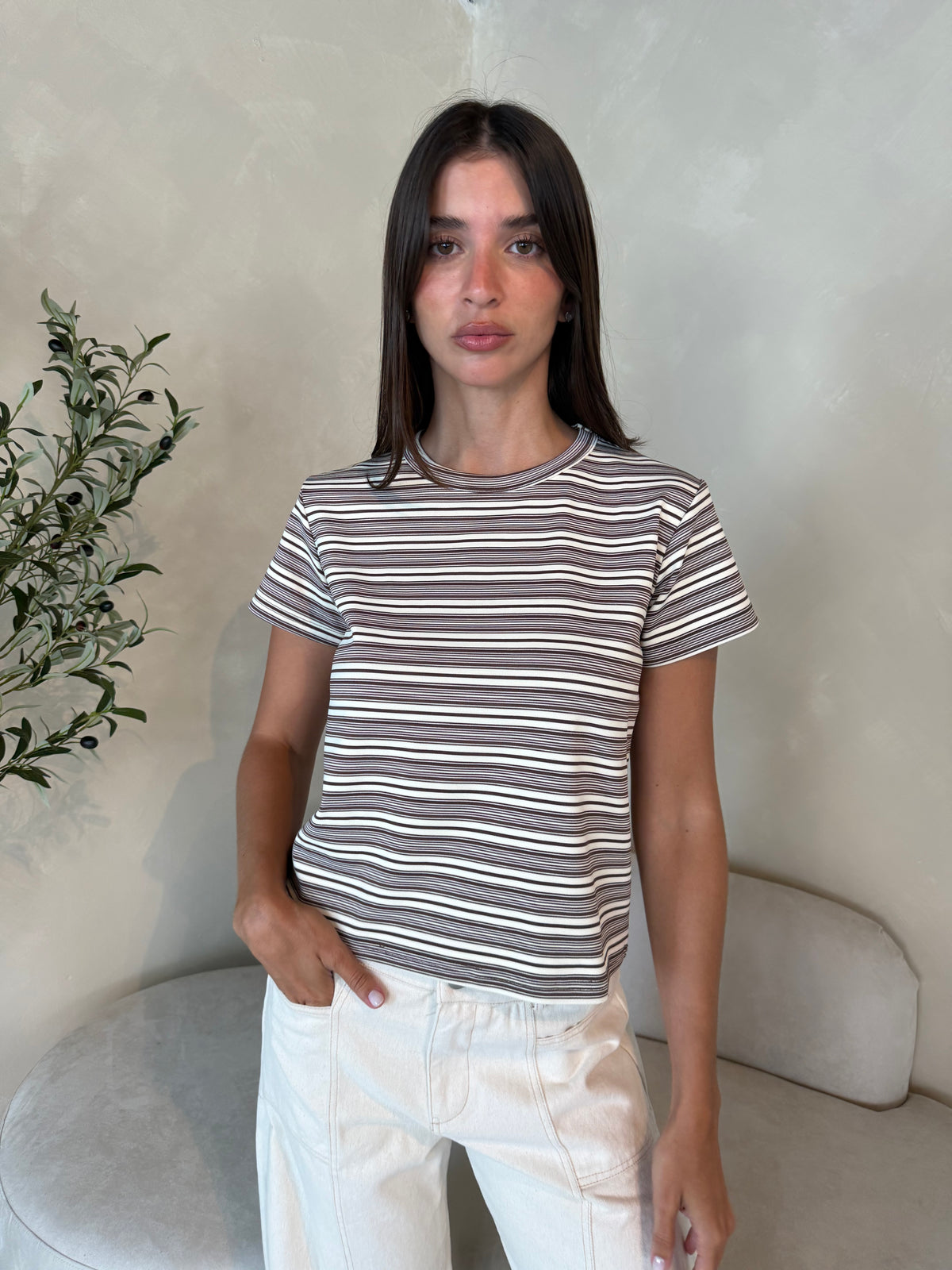 Brown Stripe SS Tee