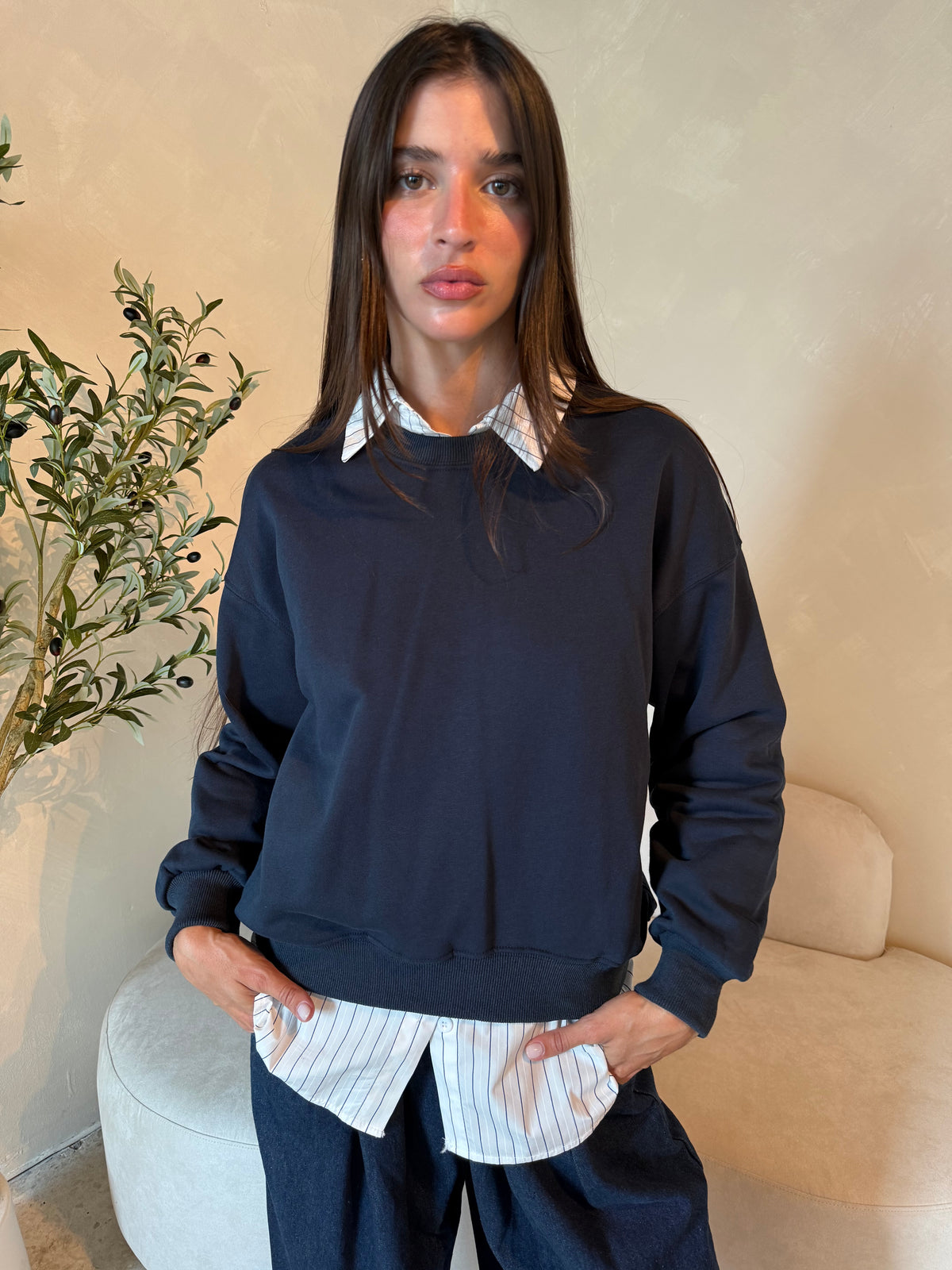 Stripe Collar Buttondown & Pullover
