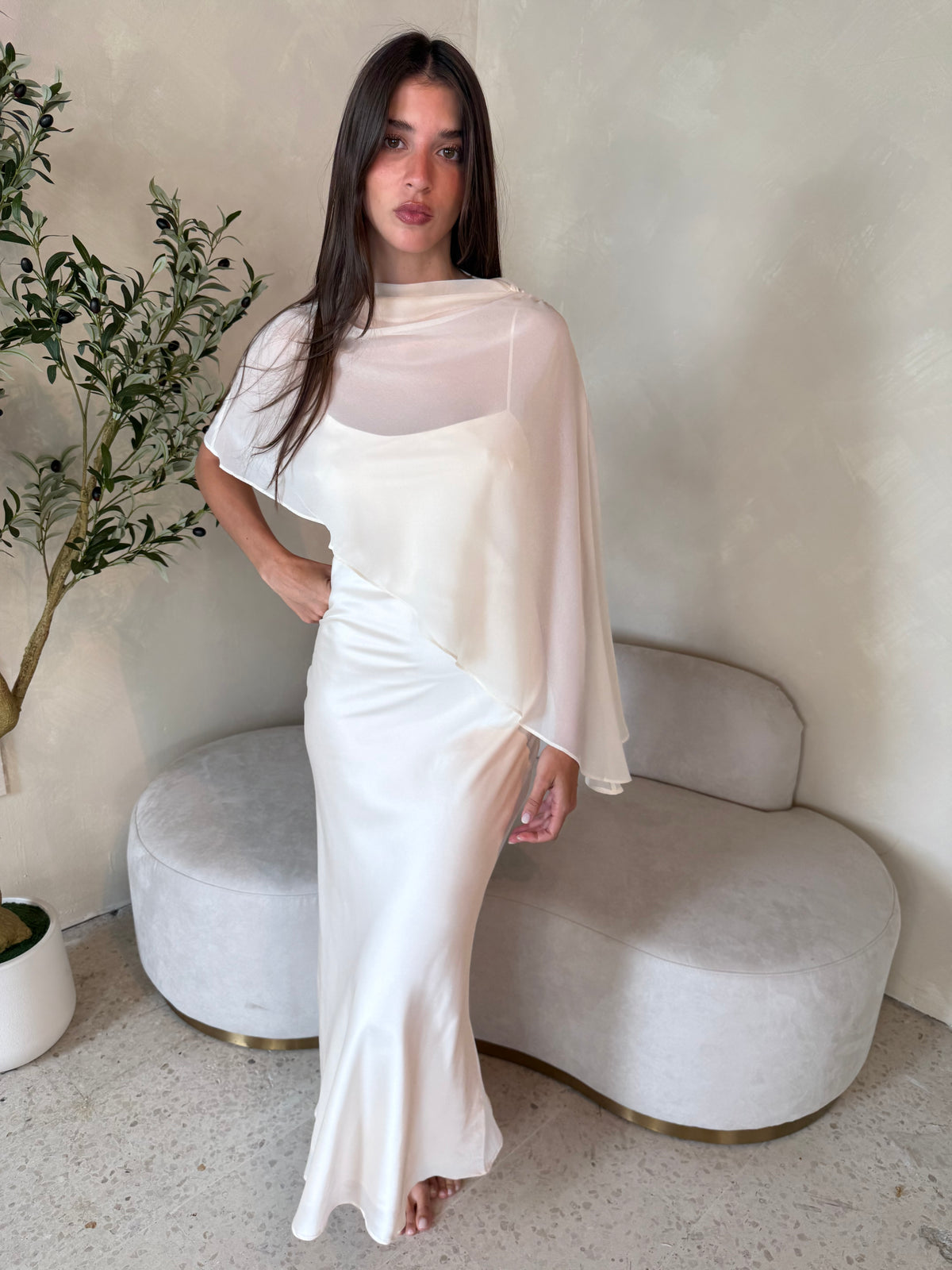 Sheer Cape Dress