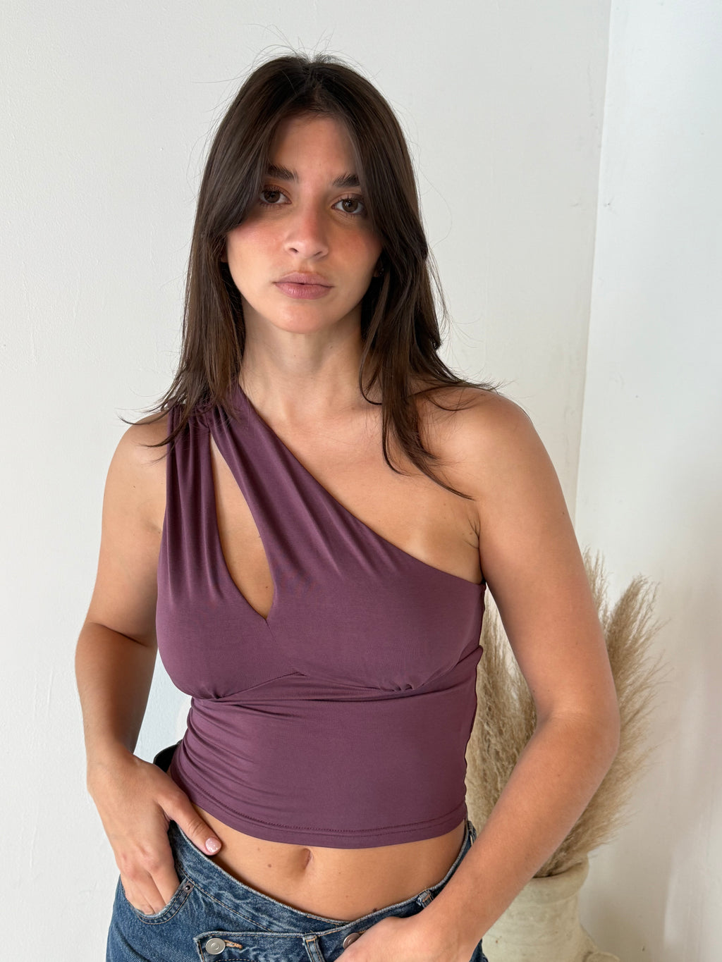 Plum Asymmetrical Top