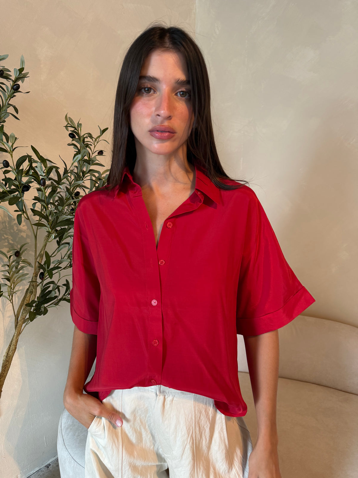 Collar SS Button Down