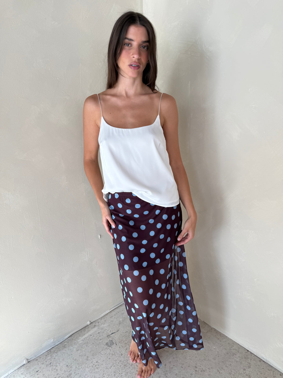 Polka Sheer Mesh Skirt