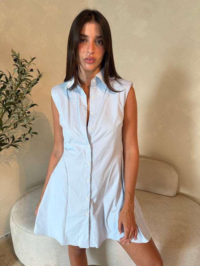 Lace Trim Collar Dress