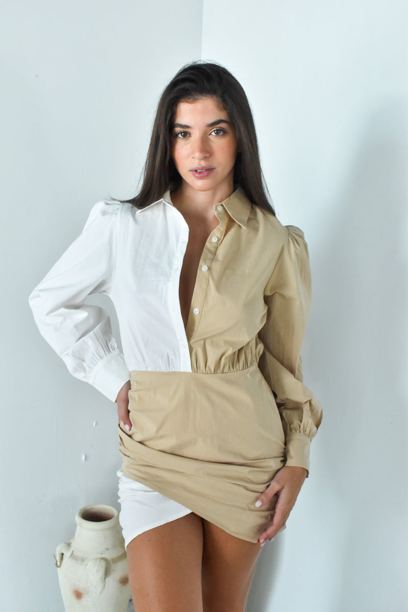 LS Color Block Dress