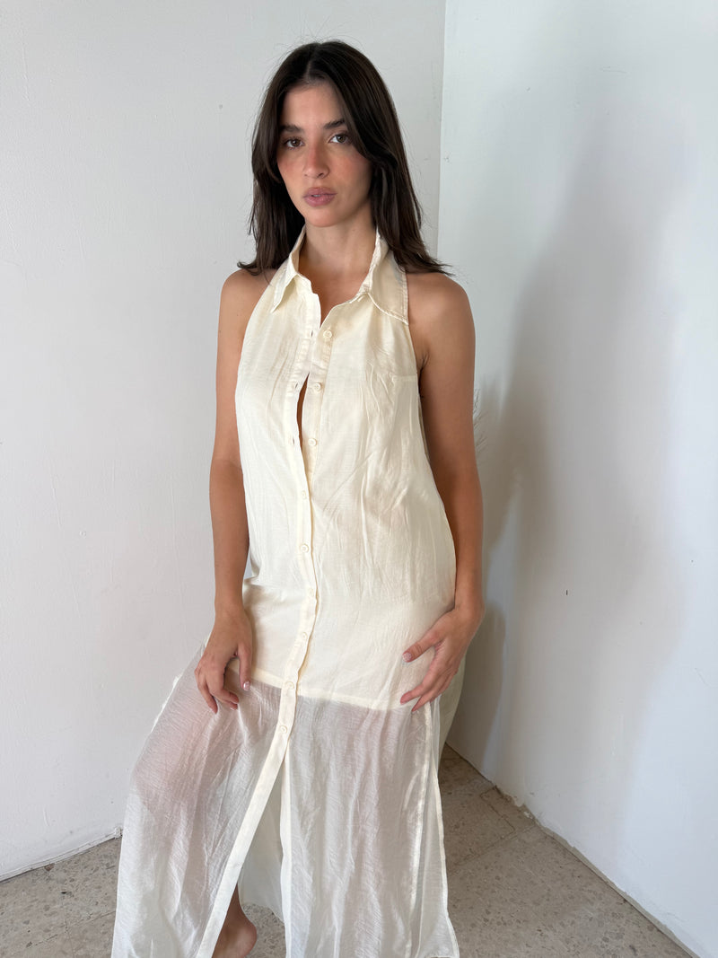 Oat Sheer Collar Dress