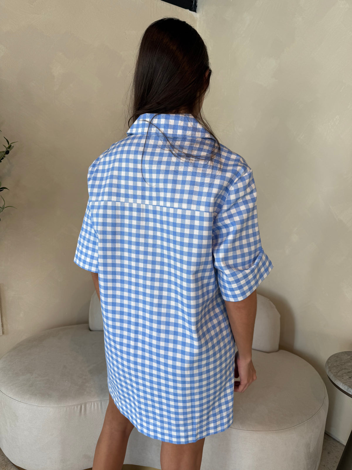 Blue Gingham Collar Dress