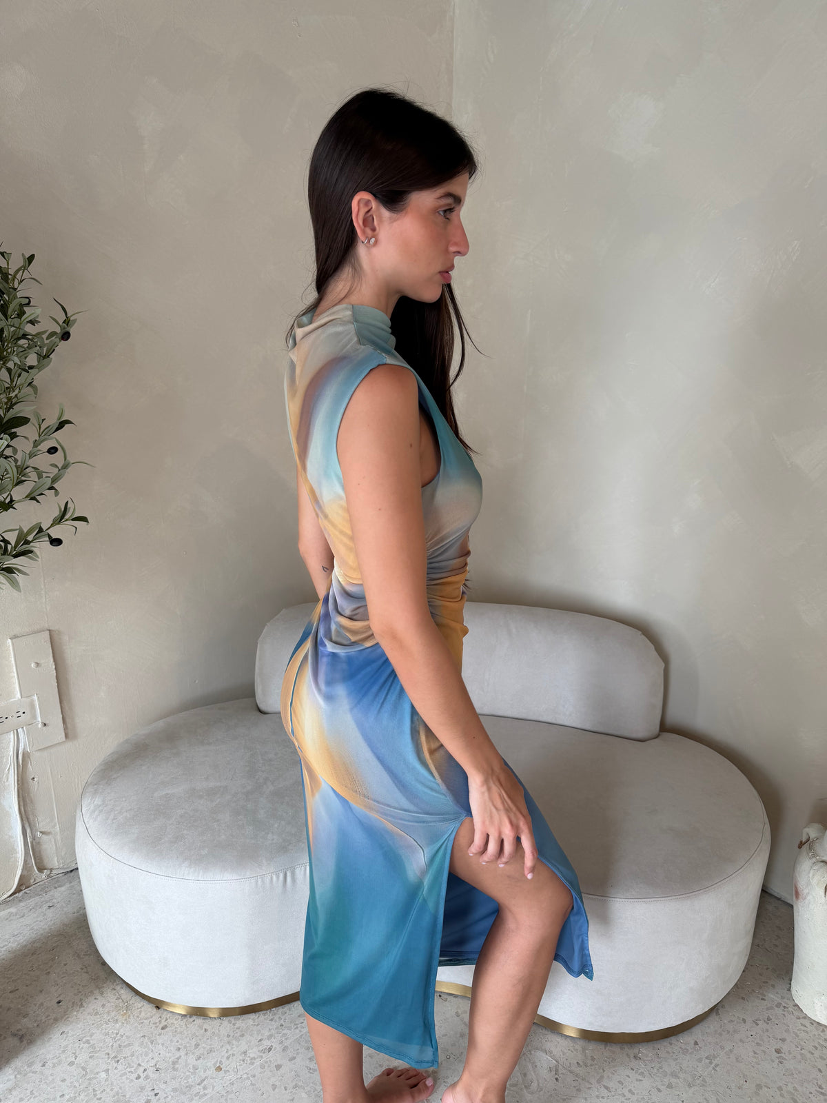 Mesh Earthy Dress