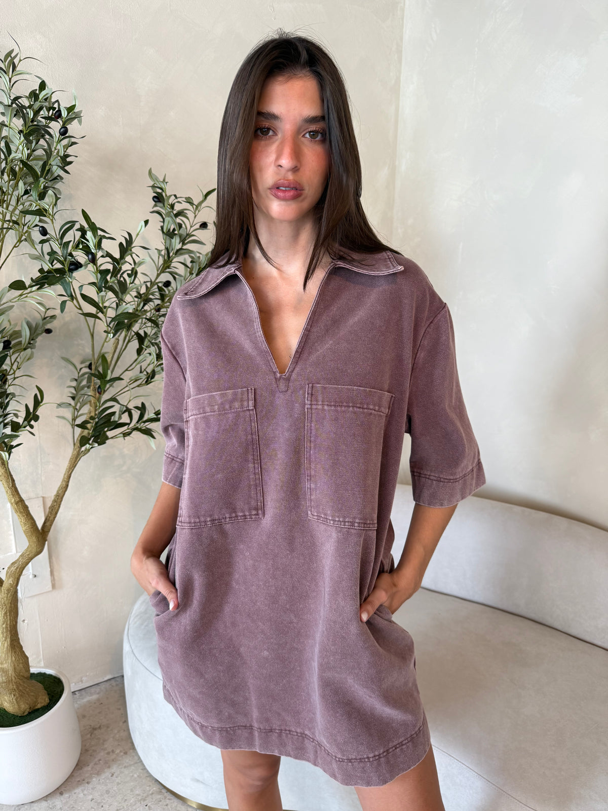 SS Collar Dress