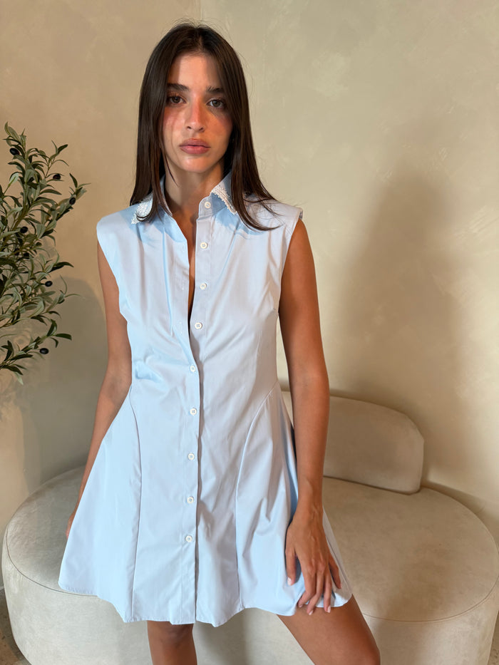 Lace Trim Collar Dress