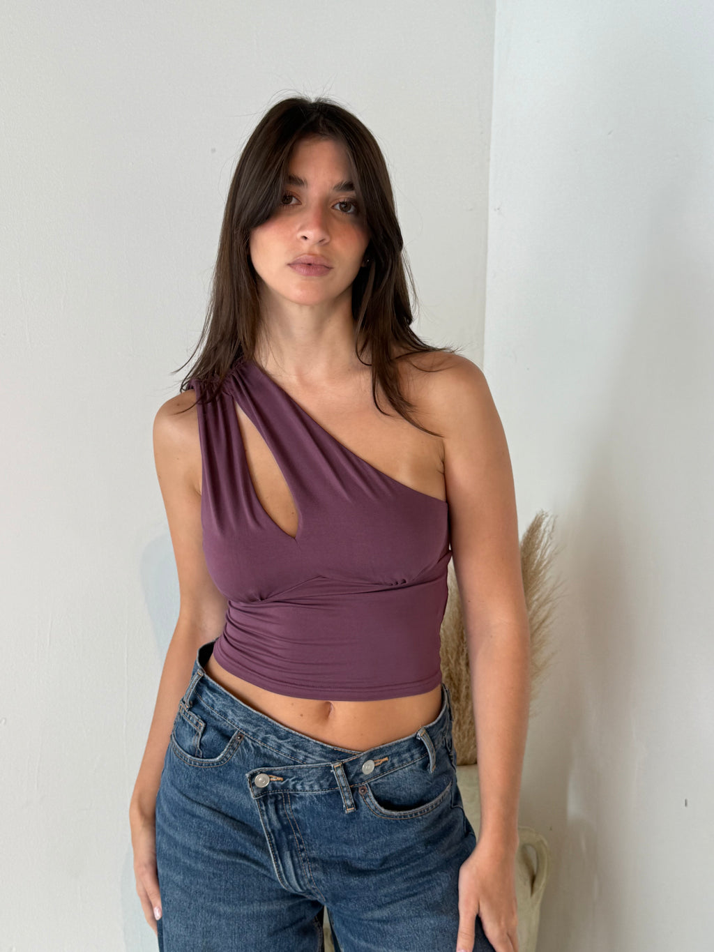 Plum Asymmetrical Top