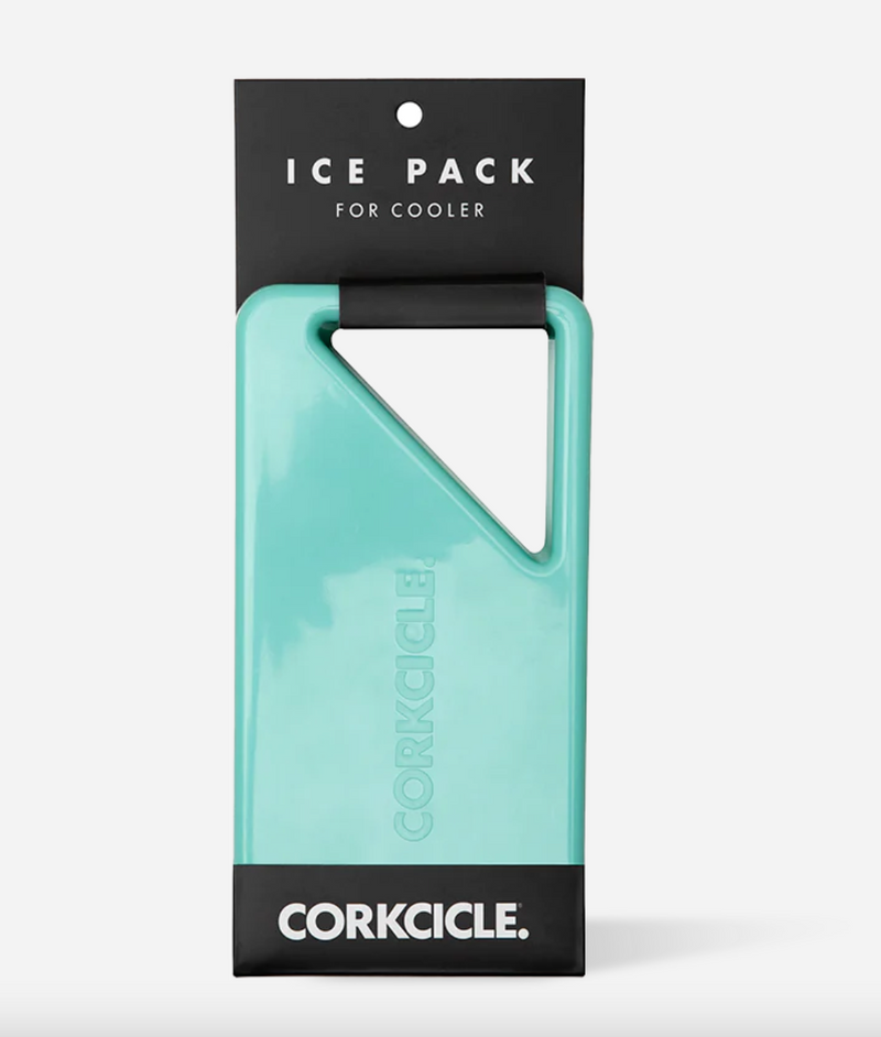 Ice Pack Cooler Big