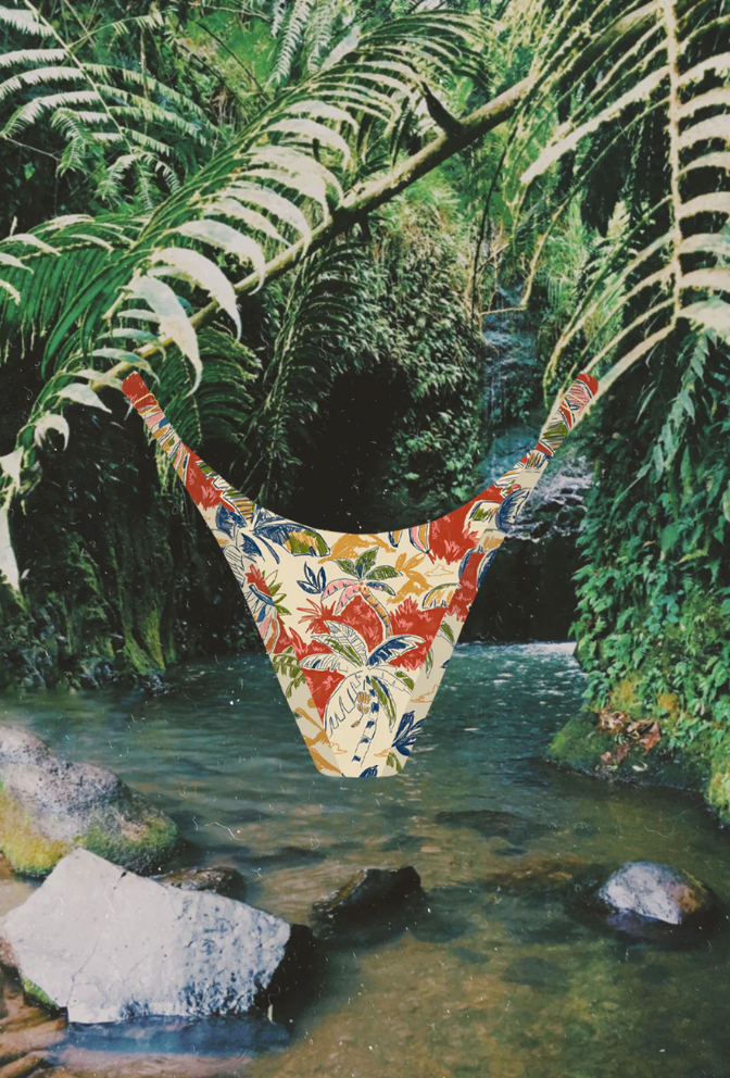 No.12 Palmera Bottom