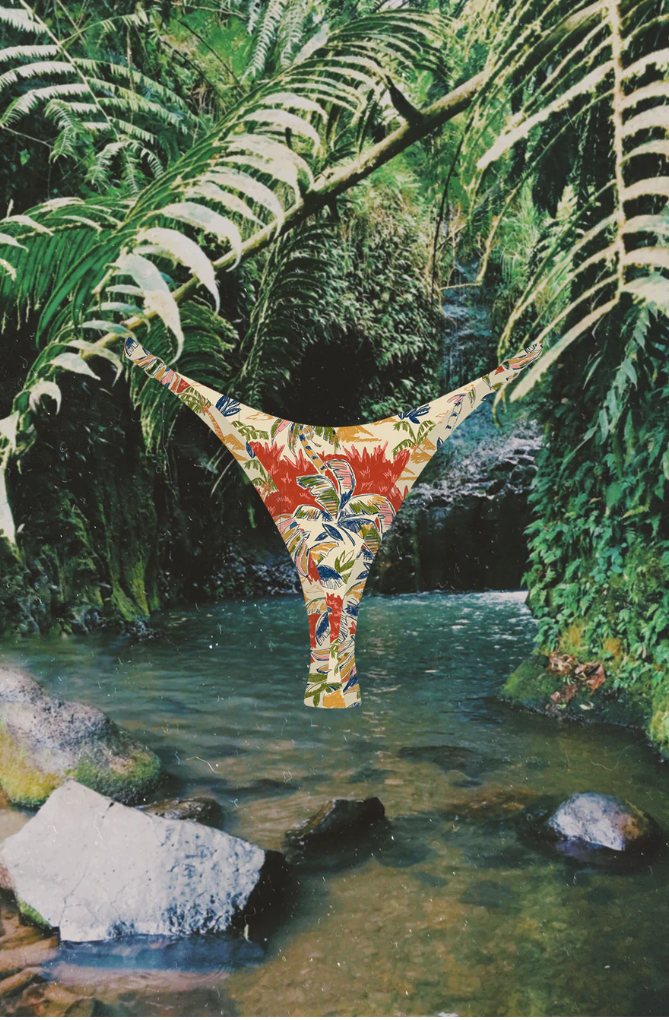 No.12 Palmera Bottom