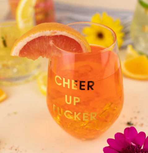 Cheer Up Fucker Wine Glasses