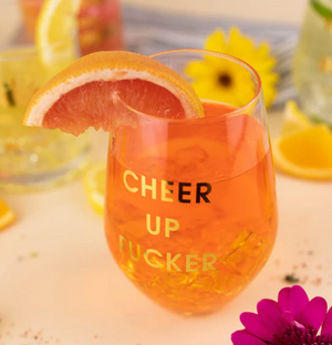 Cheer Up Fucker Wine Glasses