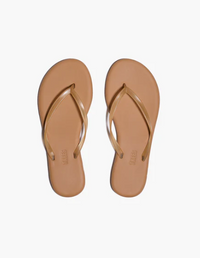 Aqua TKEES