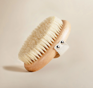 THE BODY BRUSH