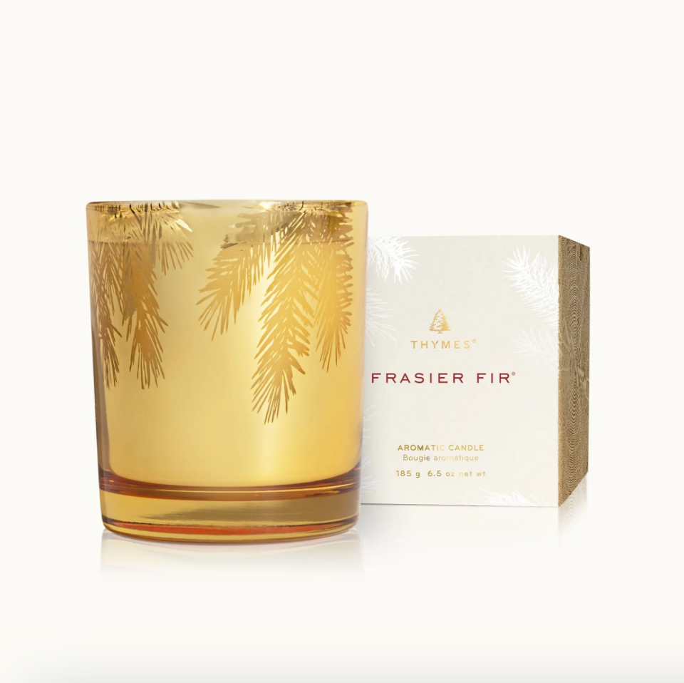 Frasier Fir Gilded Gold Poured Candle 6.5oz