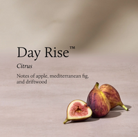 Day Rise Petite Reed Diffuser THYMES